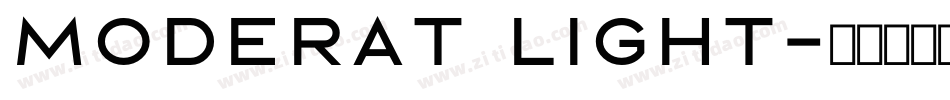 Moderat Light字体转换